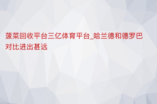 菠菜回收平台三亿体育平台_哈兰德和德罗巴对比进出甚远