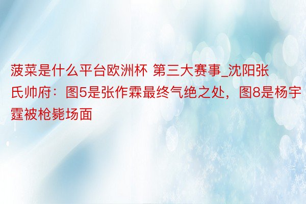 菠菜是什么平台欧洲杯 第三大赛事_沈阳张氏帅府：图5是张作霖最终气绝之处，图8是杨宇霆被枪毙场面